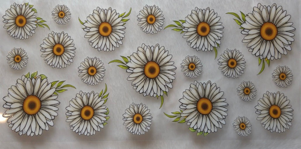 WHITE FLOWERS
