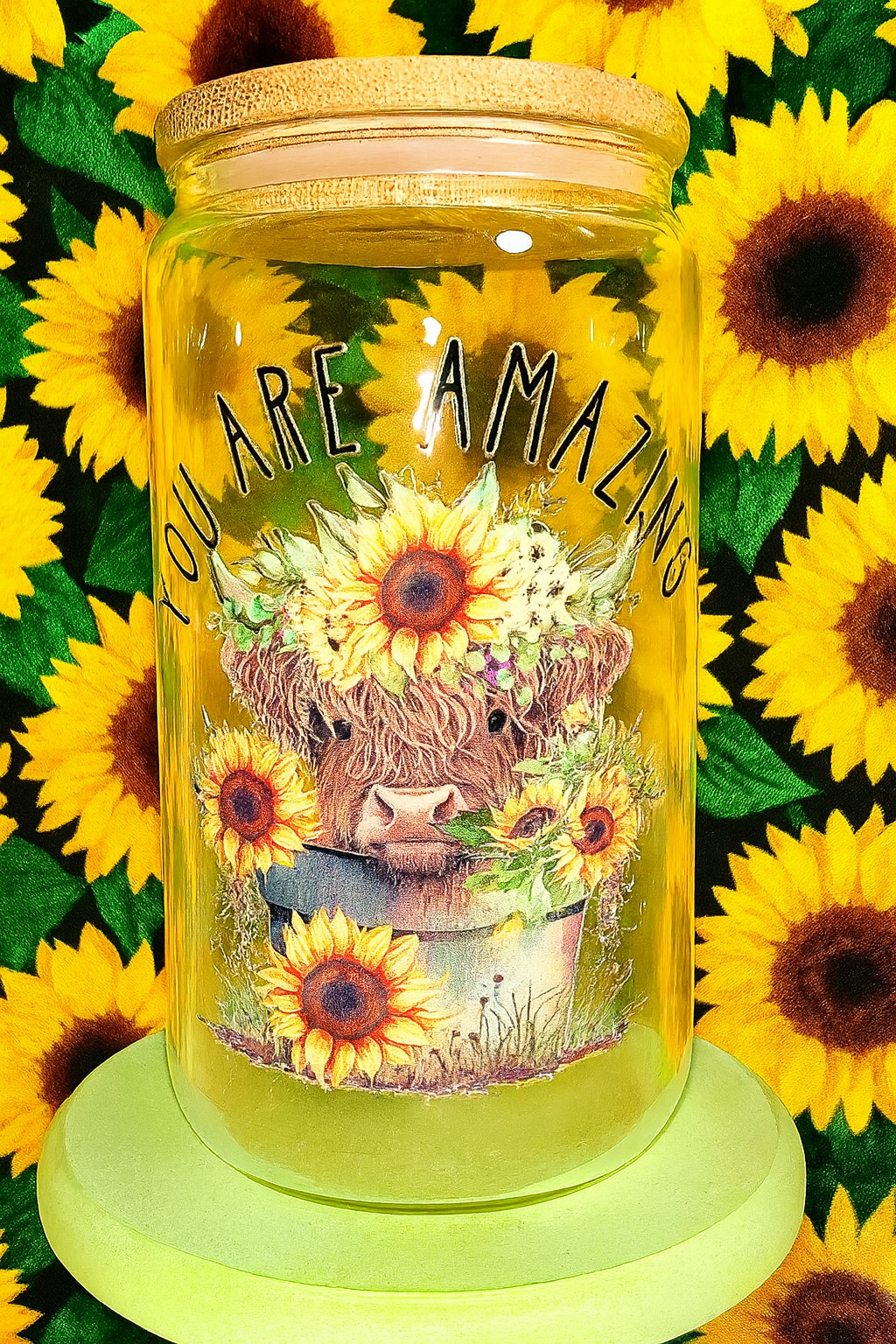 You are amazing highland cow🤍